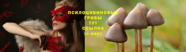 дмт Гусиноозёрск