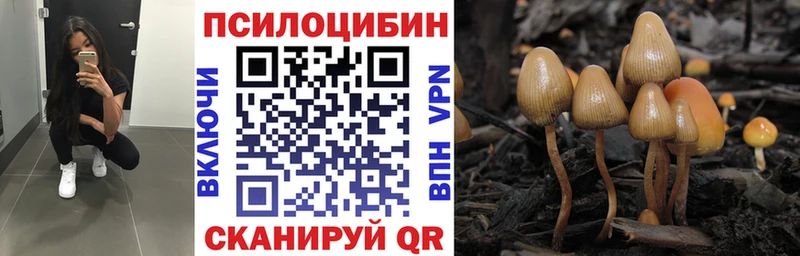 Псилоцибиновые грибы Cubensis  Бодайбо 